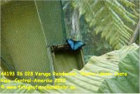 44193 26 028 Veruga Rainforest, Puerto Limon, Costa Rica, Central-Amerika 2022.jpg